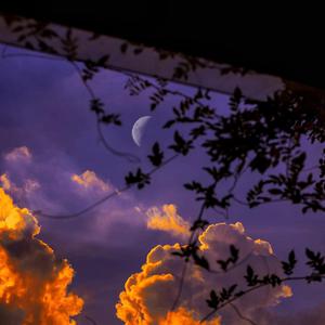 欧美成人免费全部观看国产
